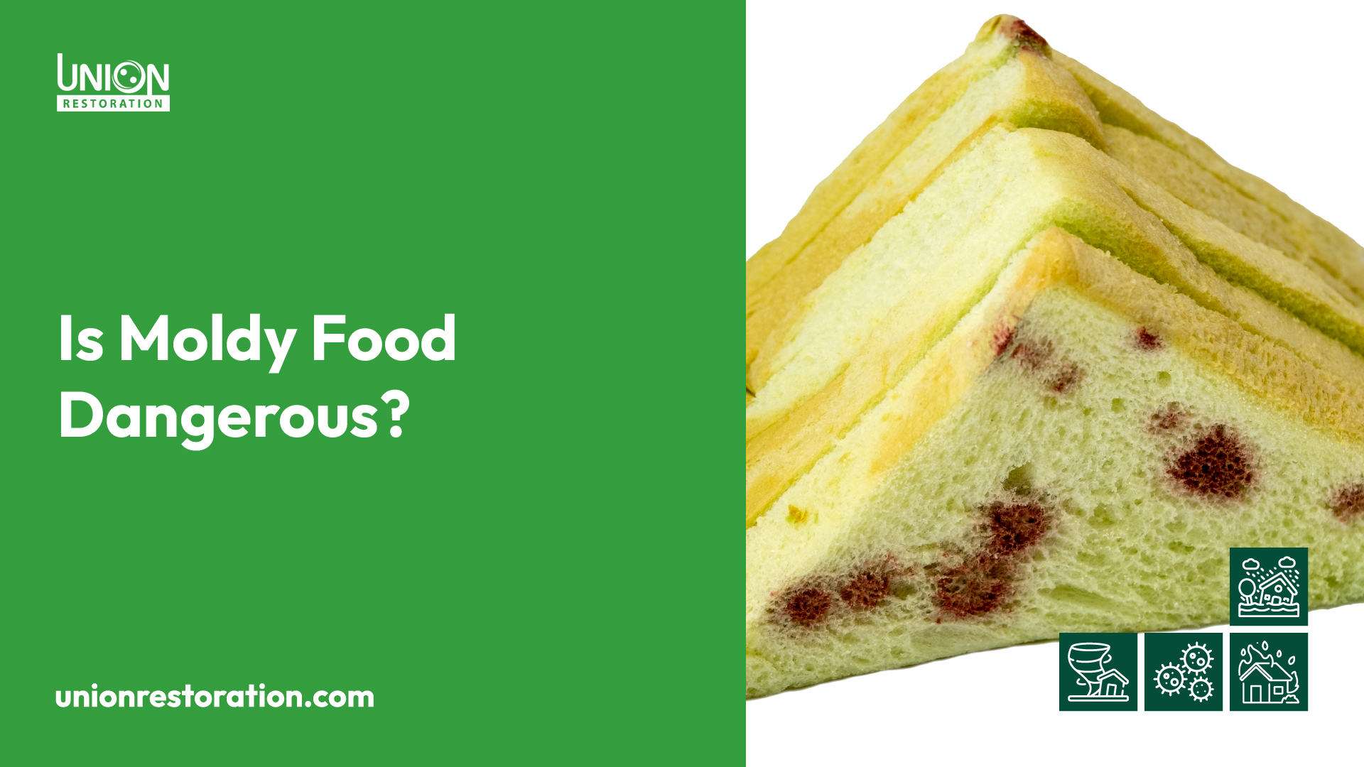 Is Moldy Food Dangerous?
